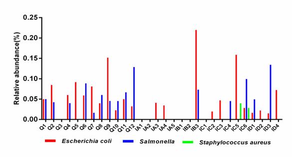 3bacterial